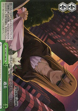 過去 【PT-W07-048CR】